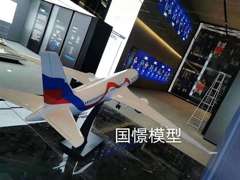 永新县飞机模型