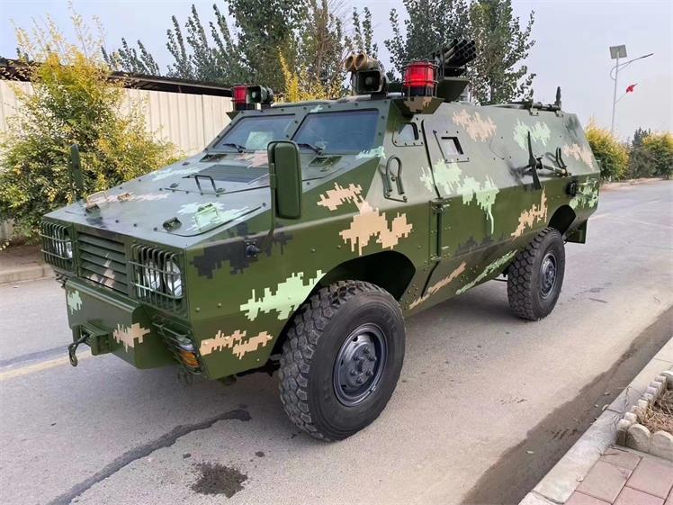 永新县军事模型